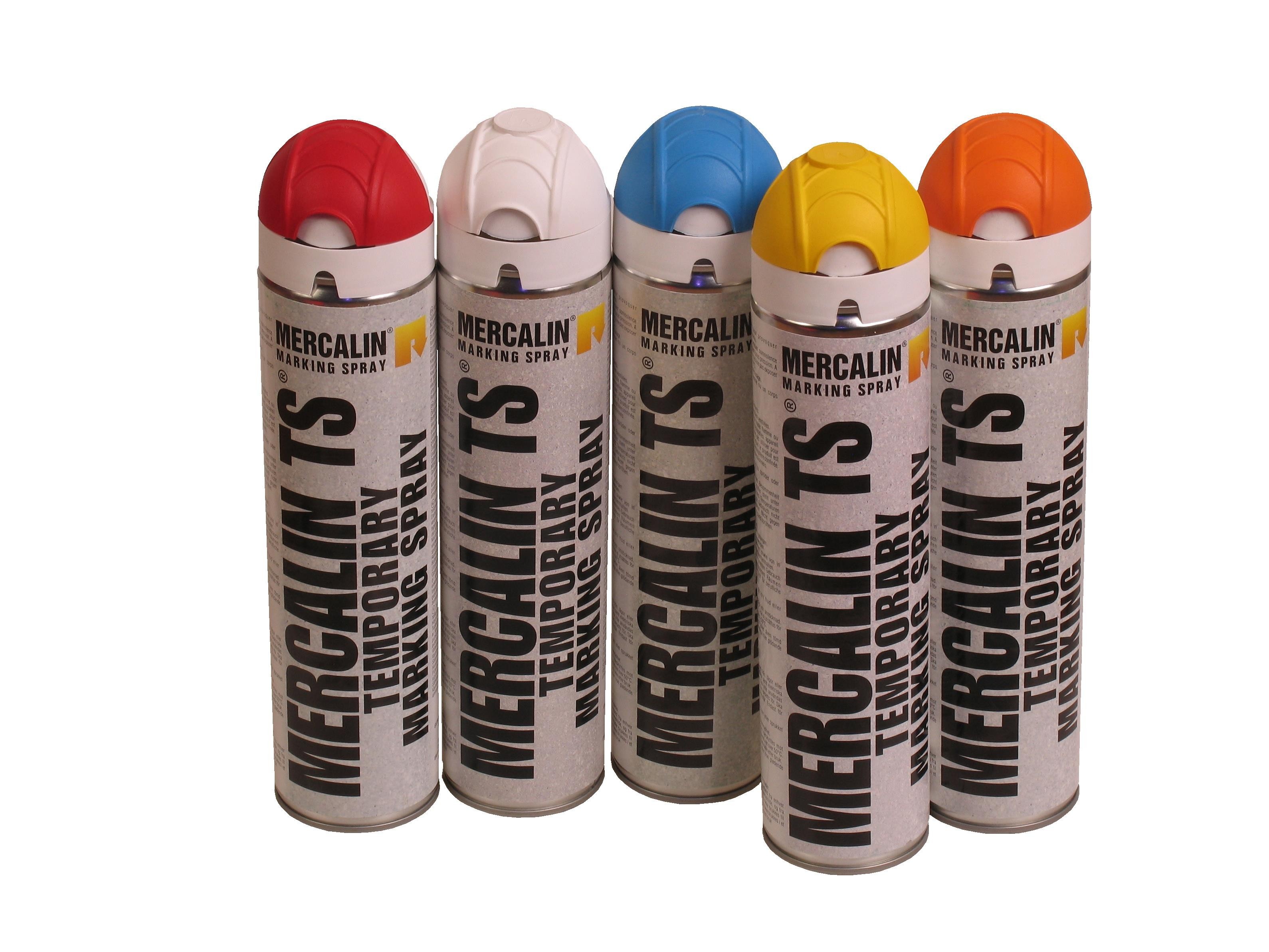 Wegenverf TS blauw kalk spuitbus 600 ml (gv)